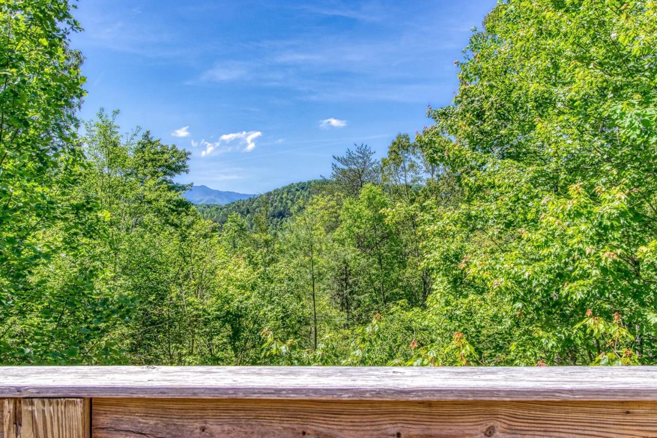 Memorable "Deer & Doe" By Honeybearcabins 4Br 3Ba, Mountain View Deck, Farmhouse Decor, Fireplace, 3 Acres Sevierville Zewnętrze zdjęcie